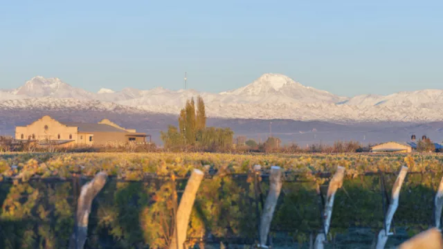 Vuelve el turismo a la reconocida bodega Viña Las Perdices