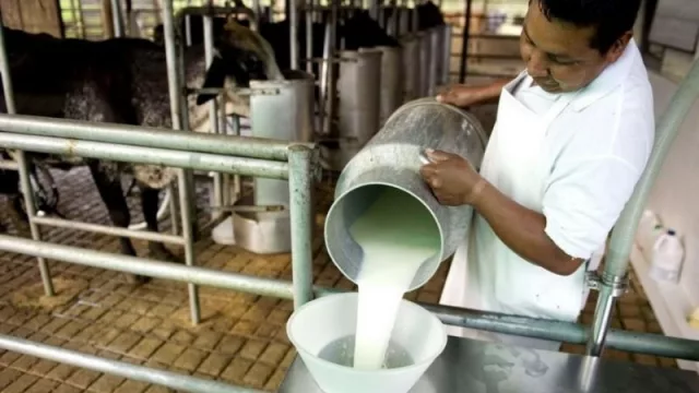 Sector lácteo salteño: aseguran que los tamberos producen a pérdida (luchan para no perder mercados)