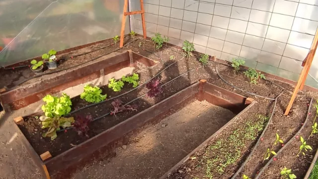 ¿Sabías que podés tener un invernadero urbano en tu propia casa? (Casa Viva te lo instala con todo)