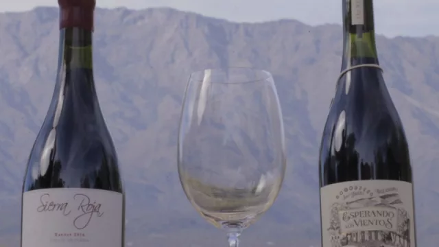 Enoturismo cordobés: la ruta del vino con más de 400 años que sigue creciendo