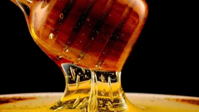 Atención apicultores, Newsan (sí, la empresa de tecnología) está buscando productores de miel en Córdoba