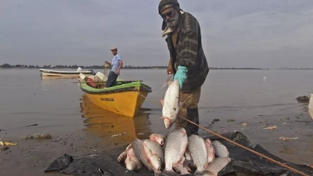 La bajante del Paraná afecta los ecosistemas del Litoral y podría extenderse hasta marzo