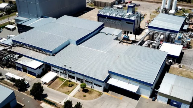 Los 20 años del helado que “sopapeó” a la industria: Grido no cerró ni una franquicia y abrió 150 en pandemia (¿almacenará la vacuna?)