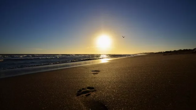 Mariano Uset: “Pretendo recibir a los turistas y que vuelvan sanos a sus sitios de origen” 