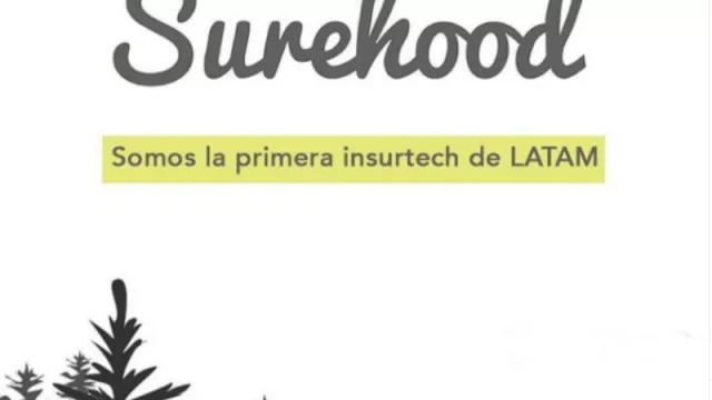 Para no renegar con trámites presenciales: llega Surehood, el primer broker de seguros íntegramente online