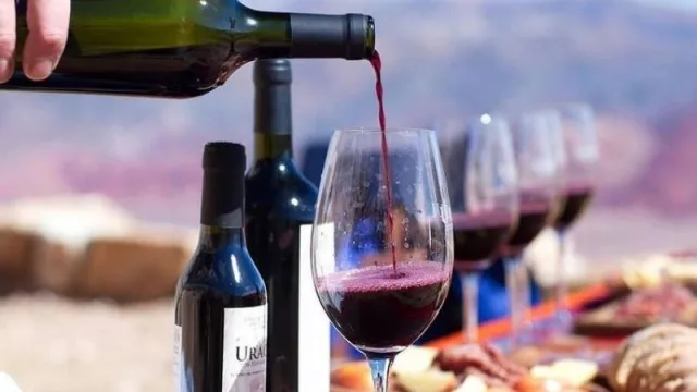 Brindemos con vino jujeño: la provincia presentó sus varietales 