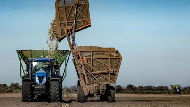 ¿Orgánica o tradicional? El dilema que cada vez cobra más fuerza en la industria azucarera