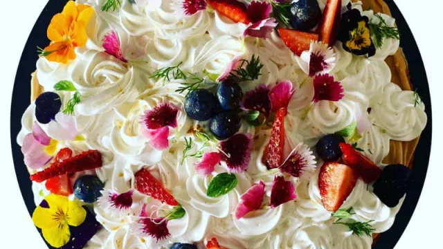 Todo lo que veas en el plato se come, y si ves una flor, también (¿sabías que en Córdoba existe el cultivo de flores comestibles?)