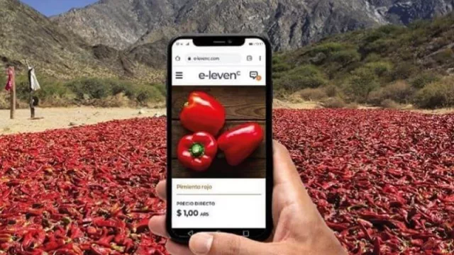 Para impulsar las economías regionales llega E-levenc, una vidriera virtual y con geolocalización