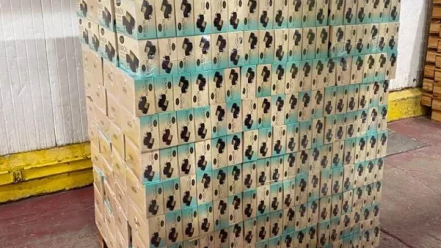 ¡Palito, bombón heladooo!: Grido enviará 3 millones de bombones a Bolivia (y con marca boliviana)