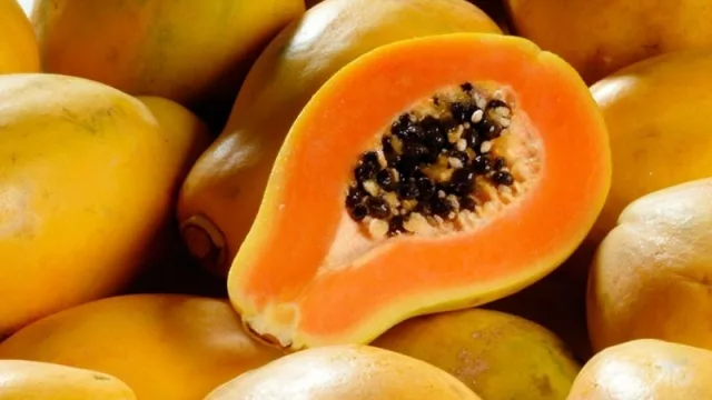 Cultivo de mamón, una alternativa de producción diversificada y rentable (es considerada una de las 8 frutas exóticas del planeta)