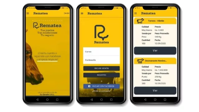 Remateá: nueva app paraguaya que permite comprar y vender ganado desde el celular