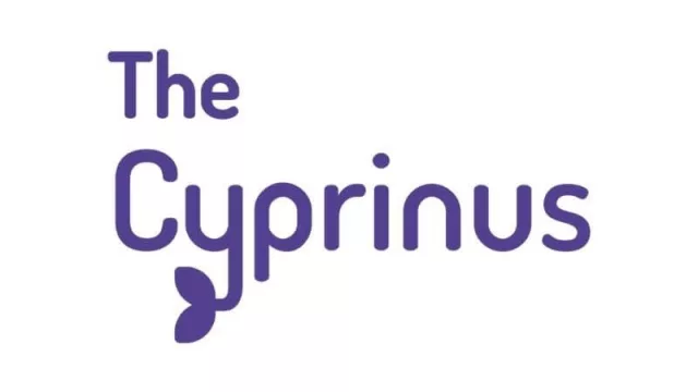 ¿Querés saber qué hacen tus consumidores? The Cyprinus te describe la “vida real” de las personas minuto a minuto