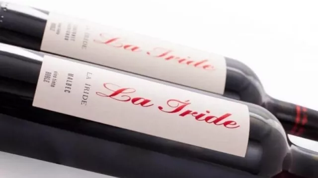 La Íride: la bodega que ganó el mercado con la damajuana