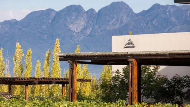 Para descubrir: Caelum, un paraíso mendocino para todo el país