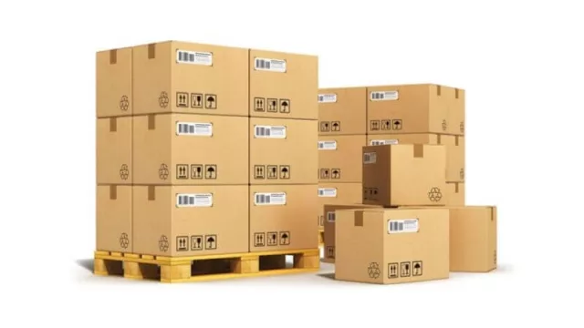 Avanza la “Plataforma Logística” de transporte y carga en Neuquén 