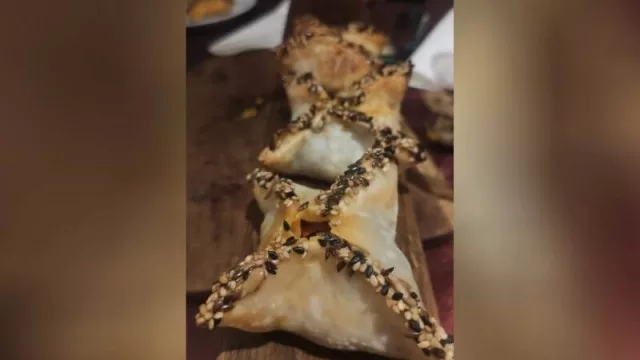 Estrellita de cabrito.