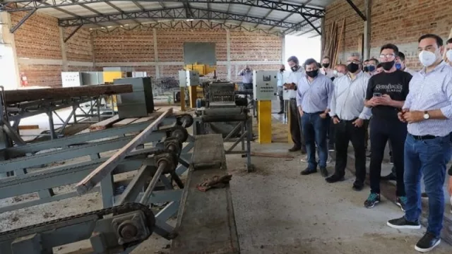 La madera correntina gana terreno en el mercado mundial 