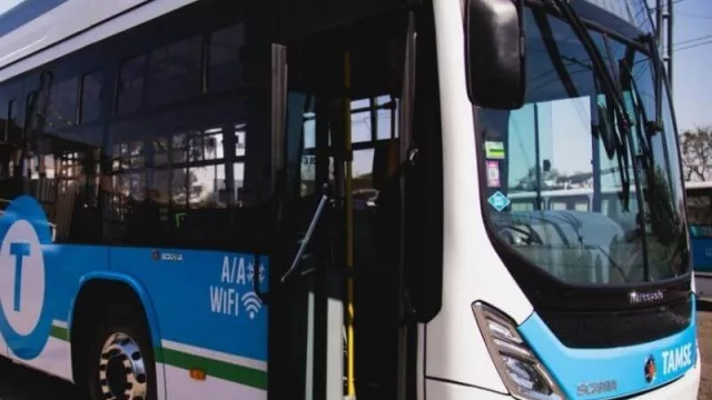 ¡Pasalo a gas!: la Municipalidad probará colectivo a GNC (nueva alianza de Tamse y Scania)