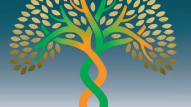 IE University de España lanza autotest para que las empresas sepan cómo vienen en “innodiversiad” (¿te animás?)