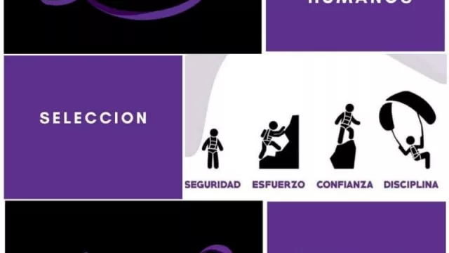 ¿Tu empresa necesita ayuda? Conocé a Planear, consultora en recursos humanos (búsquedas, capacitaciones y planes de desarrollo)