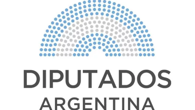 Tiene la palabra el señor diputado