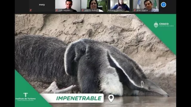 Chaco presentó su oferta Turística en el evento nacional “Ampliar Destinos”