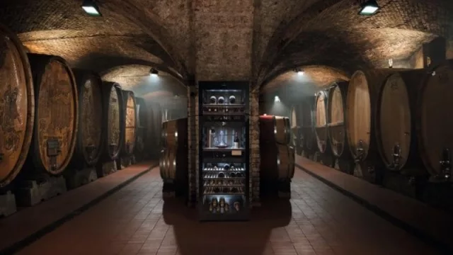 Una cava de otra categoría con parrillas de madera, 3 zonas de temperatura y alarma acústica.