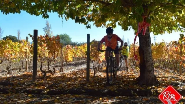 Abre el primer bike park enfocado al mundo del vino