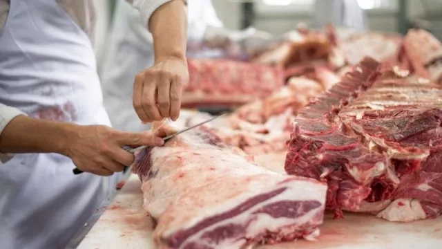 “Suiza podría ser gran comprador de carne paraguaya”