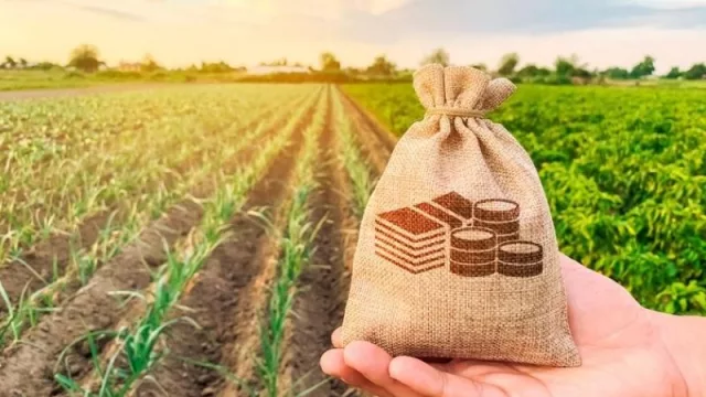 Parar la pelota y anticipar la jugada: los desafíos que tienen las empresas en el Agro 