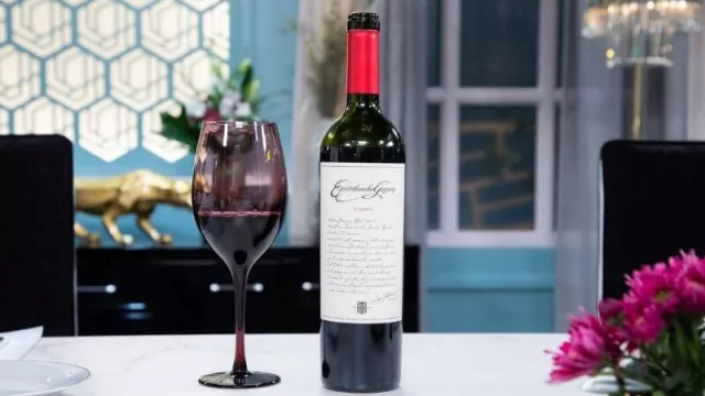 Este es el vino mendocino en la mesa de Mirtha Legrand y Juanita