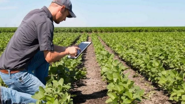“Argentina presenta un ecosistema Agtech único”: en 2022 habrá 300 compañías tecnológicas
