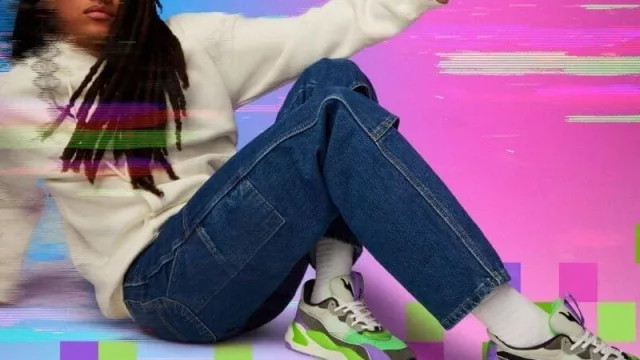 Puma navega a través de internet  explorer con RS-2K