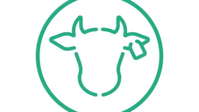 ¿Querés ser un “ganadero digital”? BitCow, un token digital con respaldo en vacas (y una alternativa de crowdfunding para productores)