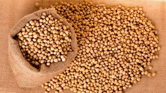 Buenas expectativas para la carne y la soja paraguaya: precios aumentarían en el segundo semestre