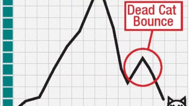 En los 5 primeros meses de 2020, la economía argentina cayó 13,2% (mayo tuvo un "rebote de gato muerto")