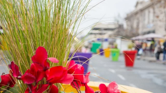 ¡Mirá que linda que quedó! La nueva "gran manzana" en la zona del Mercado Norte 