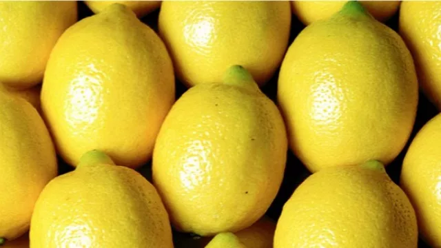 Fuerte impacto económico en Tucumán: ya no se exportará limones a Europa 