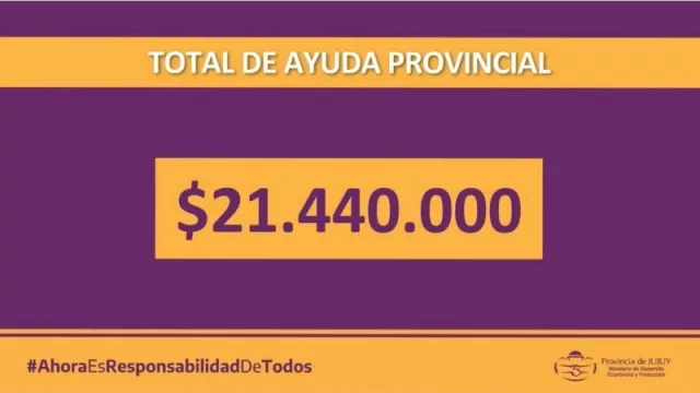 Jujuy direccionó más de $ 21 millones a sectores productivos y comerciales en crisis