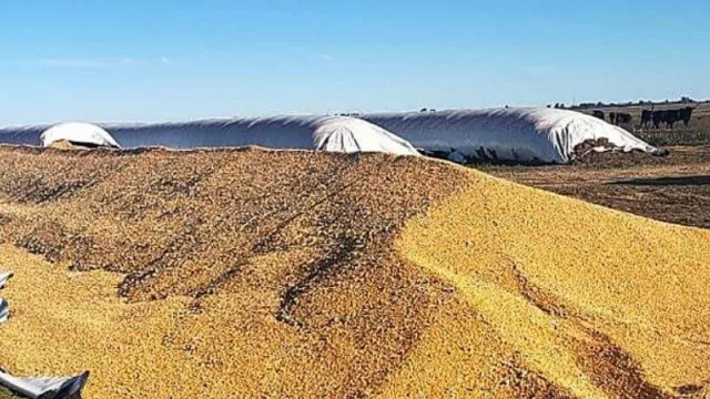 CRA versus los delitos rurales: en lo que va del año afectaron 5.700 tn. de granos (qué pasa en Córdoba) 