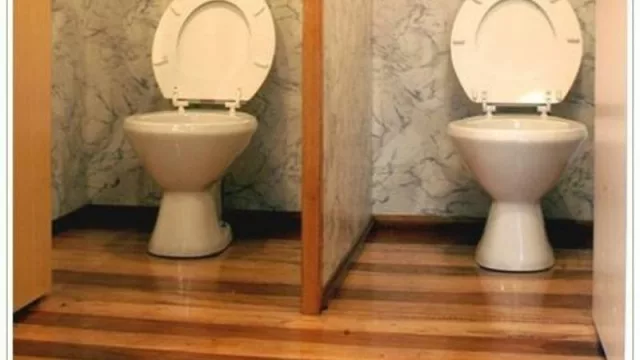 Los baños químicos ya no son los de antes: ahora vienen de lujo (Sanitarios Alta Gama los instaló en Expoagro y en el Lollapalooza, también)