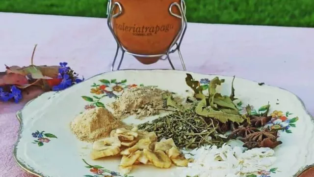 “El mate compartido no va a desaparecer...”, dice Valeria Trapaga (sommelier especialista en yerba mate)