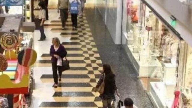 ¿Ya fuiste o pensás volver a un shopping en breve?