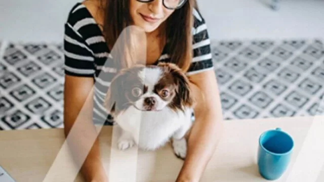 Atención emprendedoras: Santander Women impulsa el espacio #ComunidadWomen 