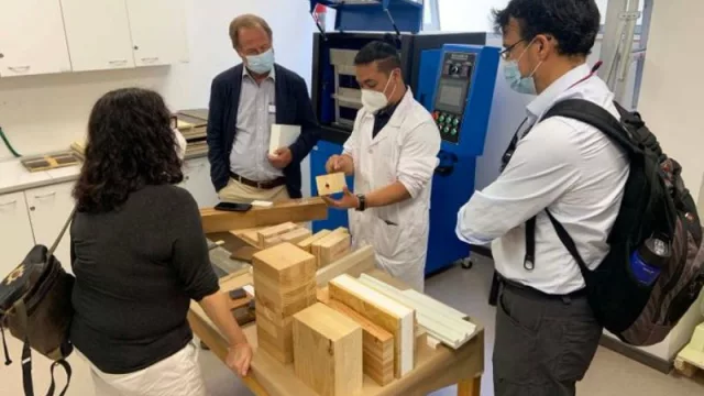 Posadas contará con un laboratorio de la madera para realizar tratamientos de resistencia y durabilidad 