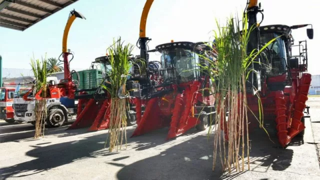 Se reactiva el principal motor de la economía tucumana: el Ingenio Leales inició su campaña de la zafra 2022 