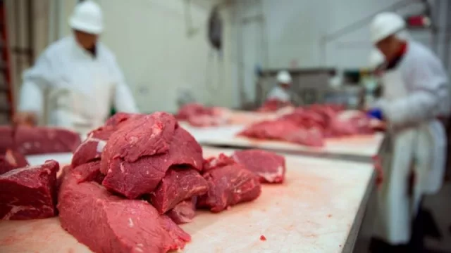 Más volumen de carne exportada, mejores ingresos y faena récord en mayo 