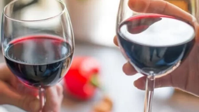 Porque hay vida más allá del fernet, llega InfoVino desde Mendoza para Córdoba y el país