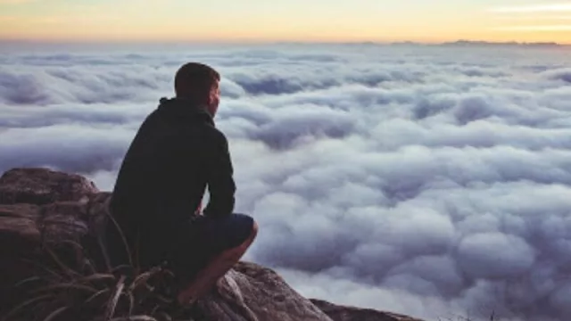 ¿Animal social? En Estocolmo más de la mitad de los hogares son unipersonales (35,4% en Buenos Aires)